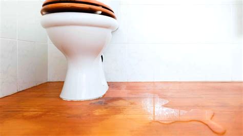 toilet clogged leaking from base|Toilet Leaking at the Base, How to Tell, Causes & Fixes